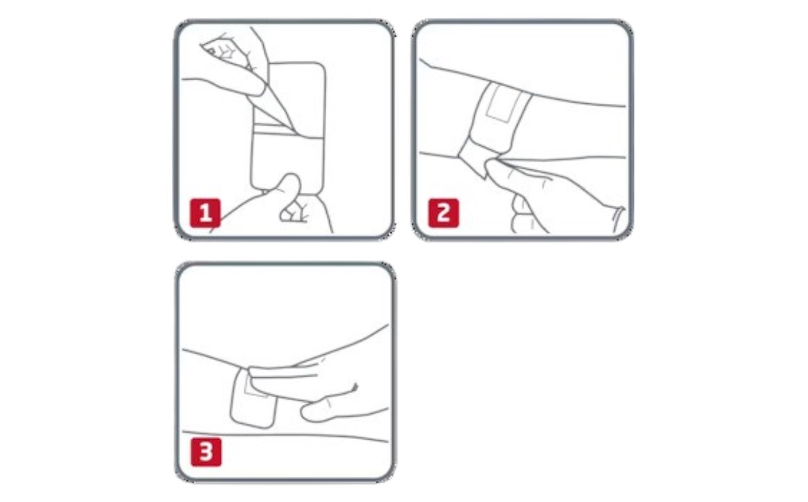 FA-7646013_2 (1).png